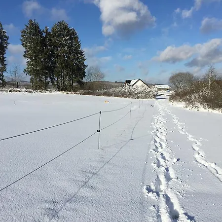 Panoramablick 公寓 阿德瑙