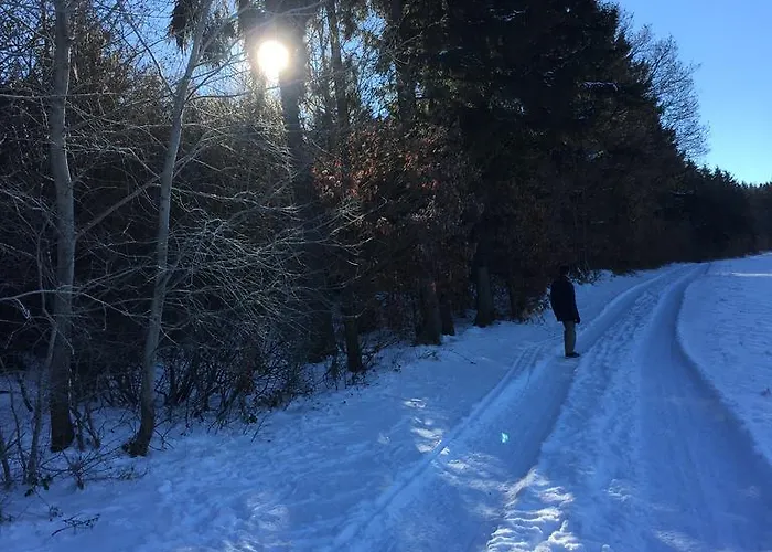 Apartamento Panoramablick *